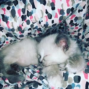 Meet your Posher, Stacey